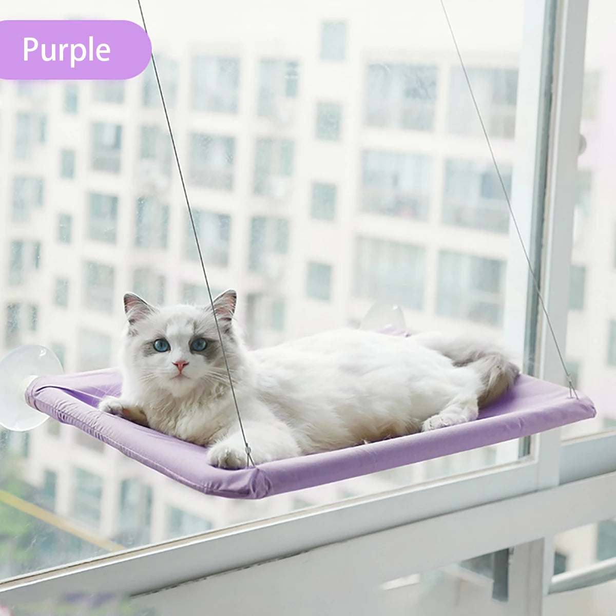 Hanging Cat Hammock