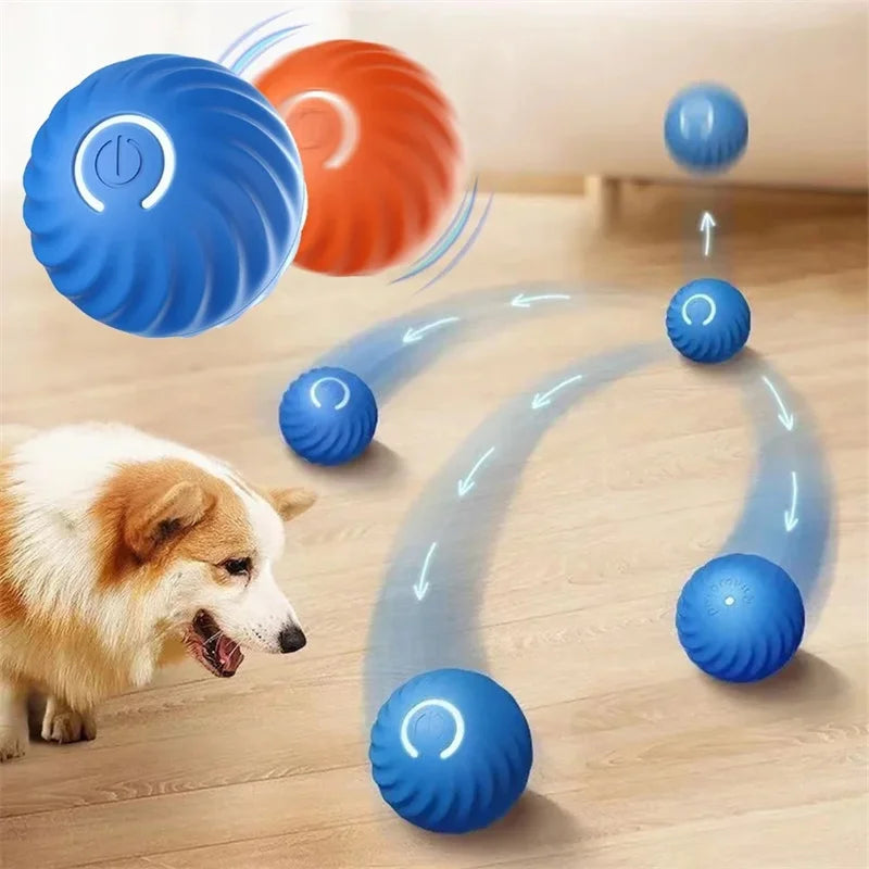 Pelota Interactiva Automática Perro y Gato