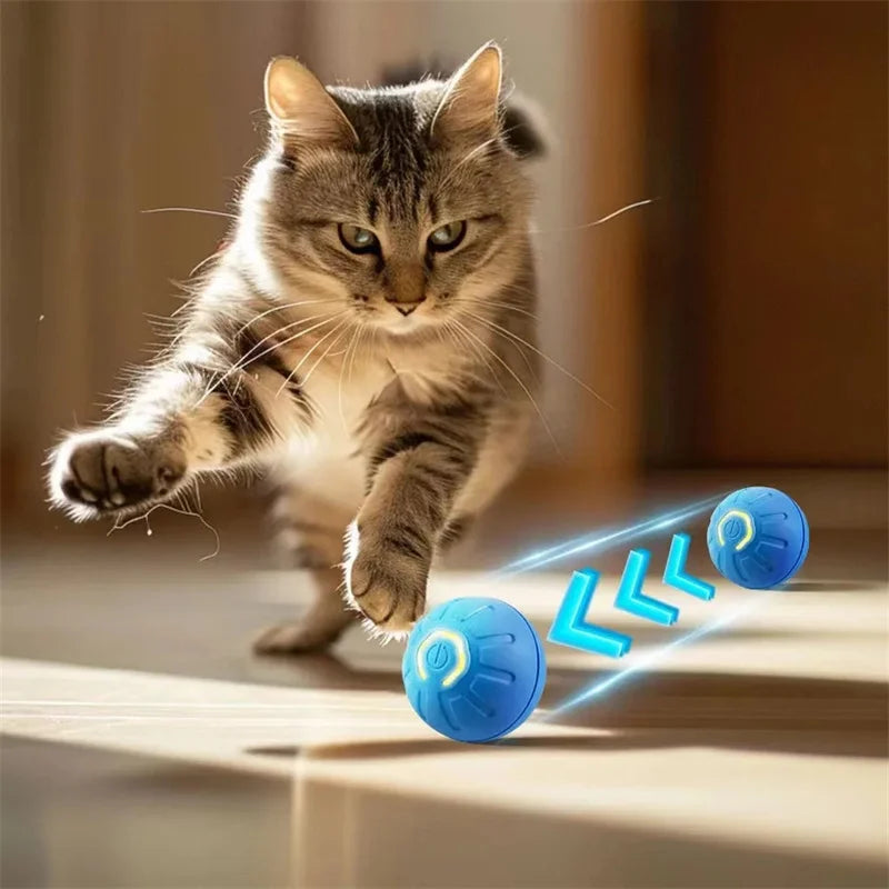 Automatic Interactive Ball for Dogs and Cats