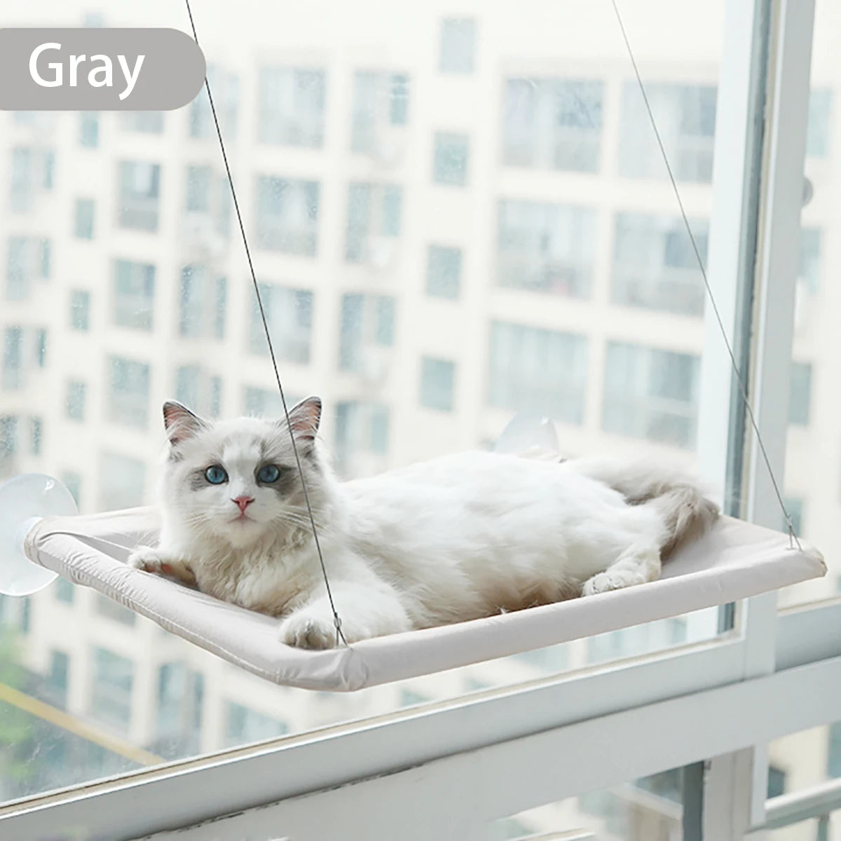 Hanging Cat Hammock