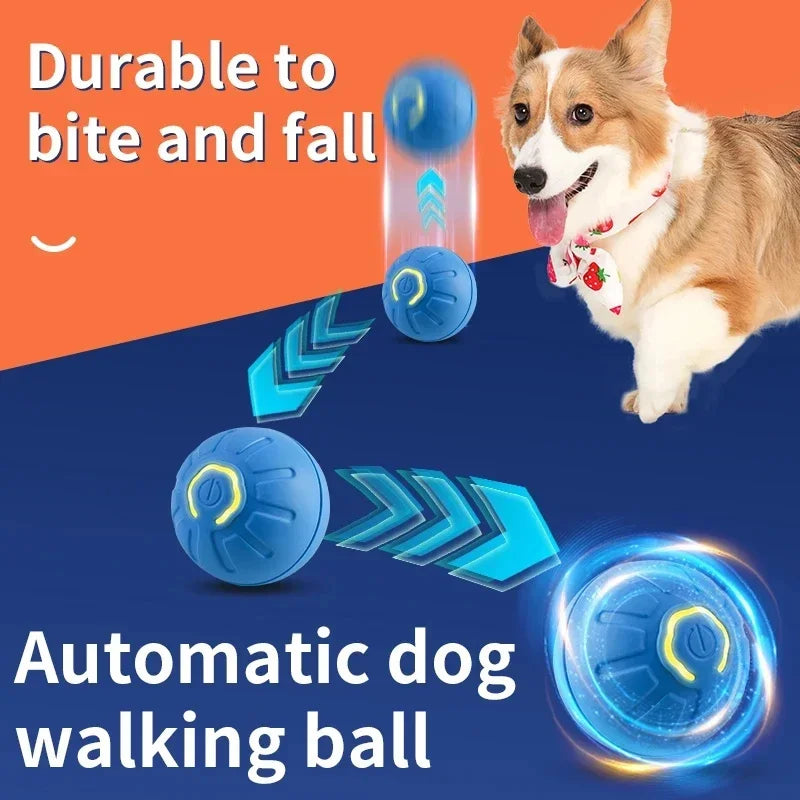 Pelota Interactiva Automática Perro y Gato