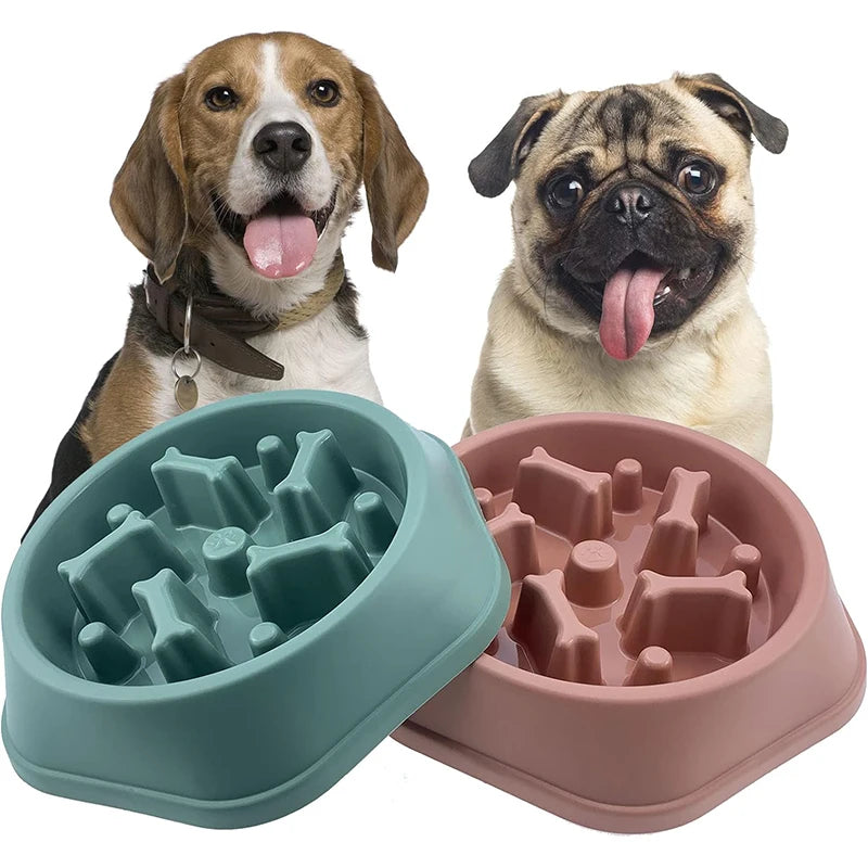 Comedero Anti-asfixia Para Perro