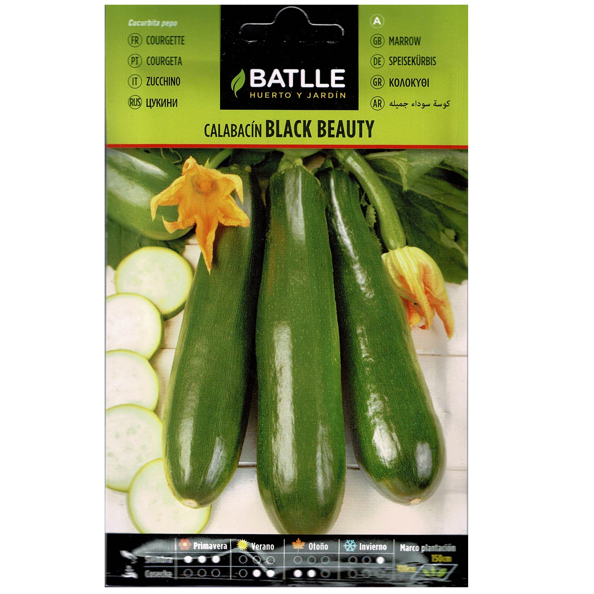 Calabacin Black Beauty sobre - Imagen 2