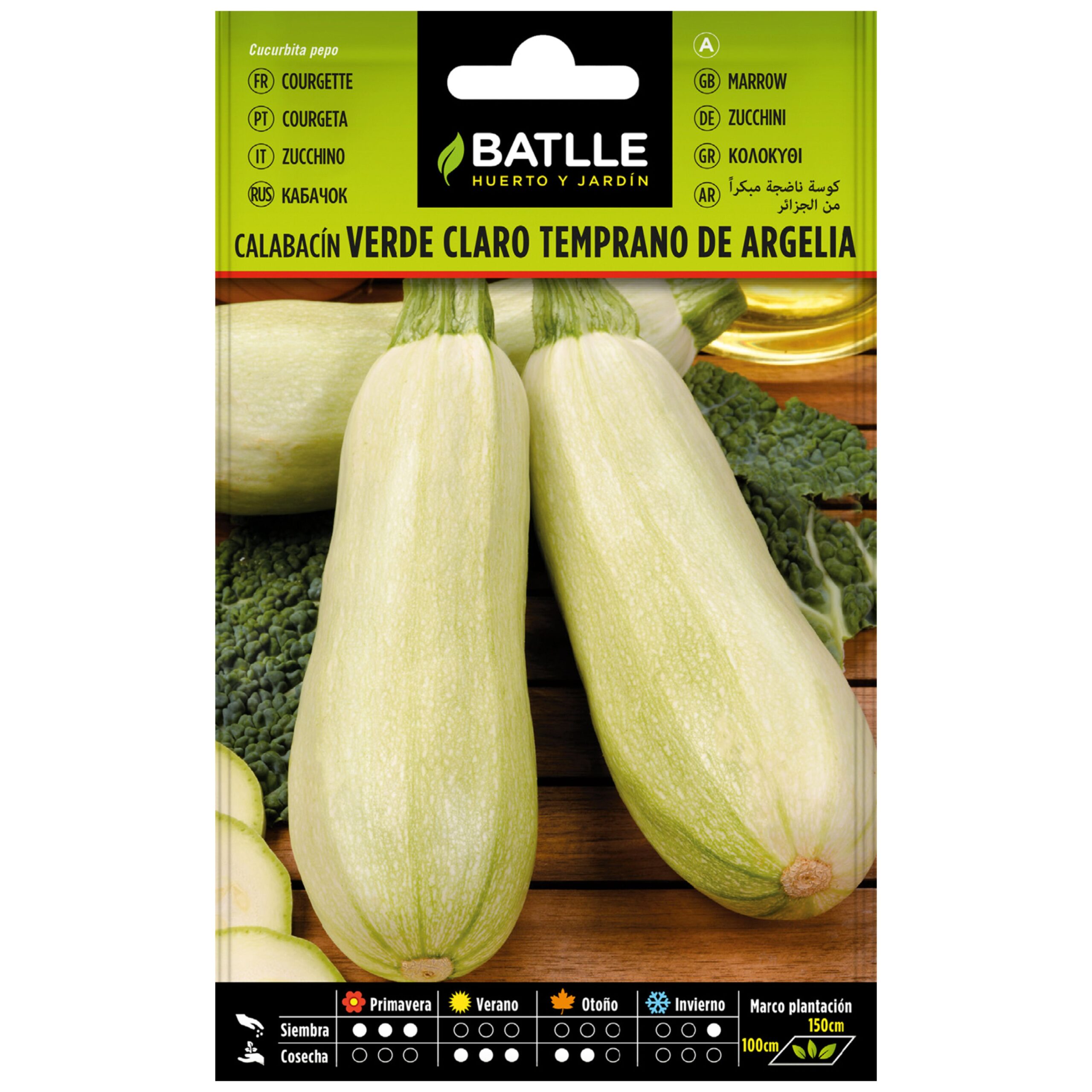 Calabacin Temprano Argelia