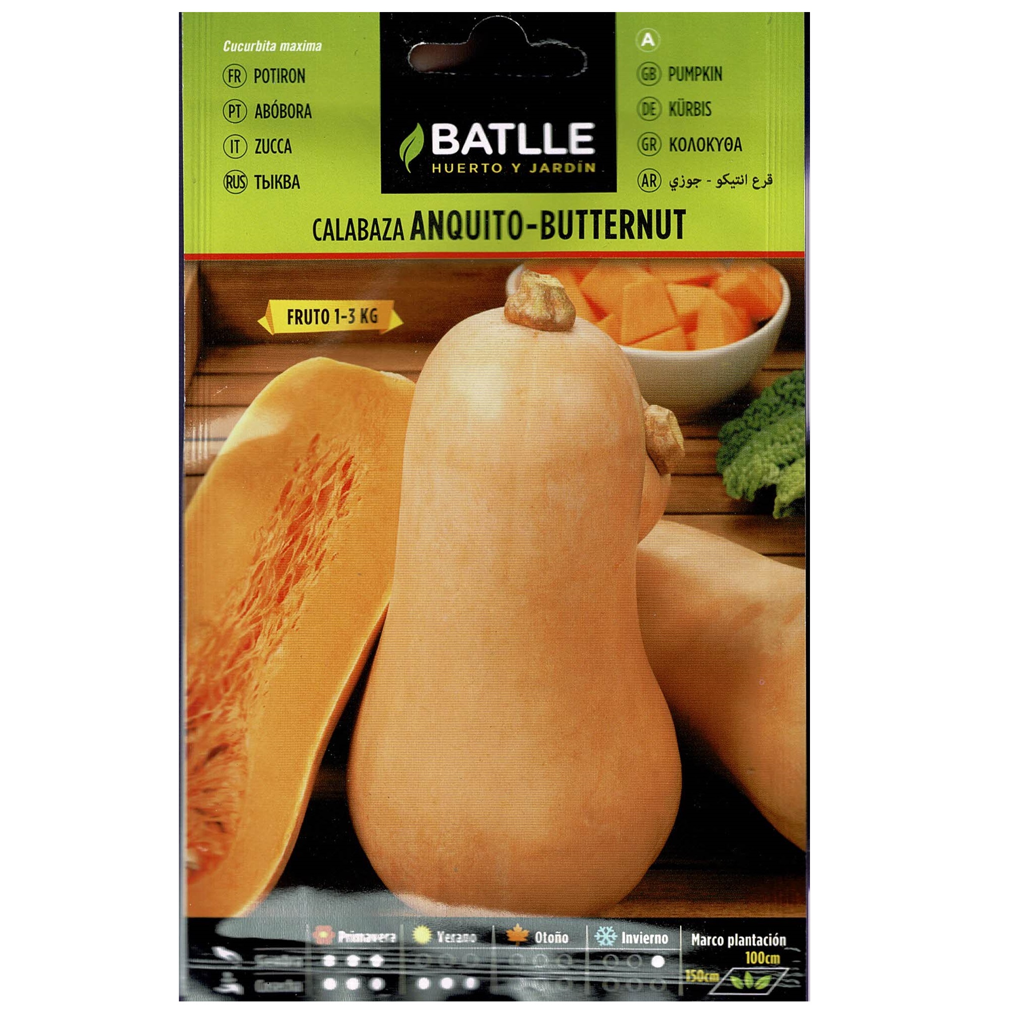 Calabaza Anquito-butternut sobre - Imagen 2