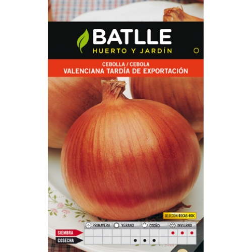 Cebolla Valenciana Tardia Recas sobre
