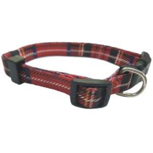 Collar Perro Escoces