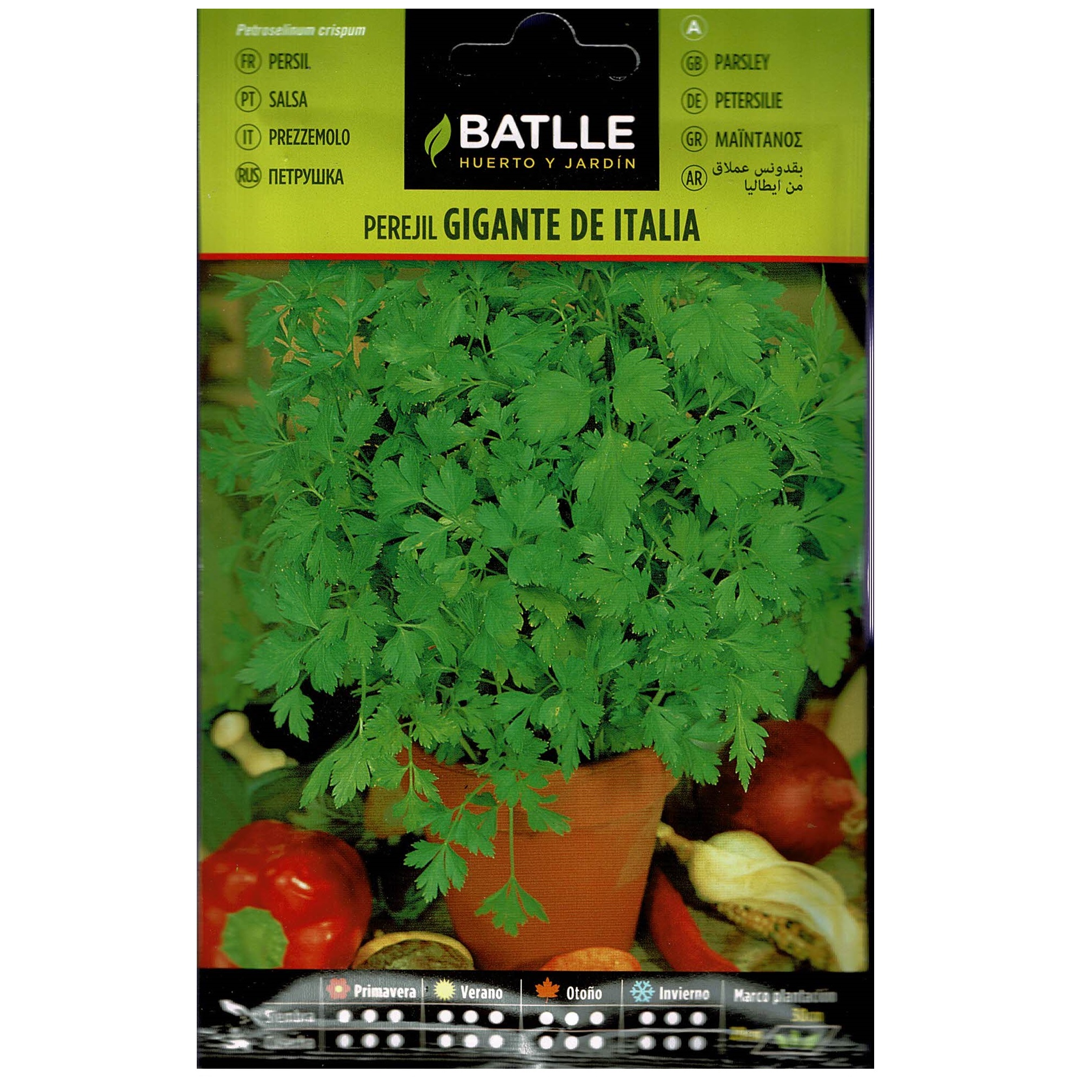 Perejil Gigante Italia sobre - Imagen 2