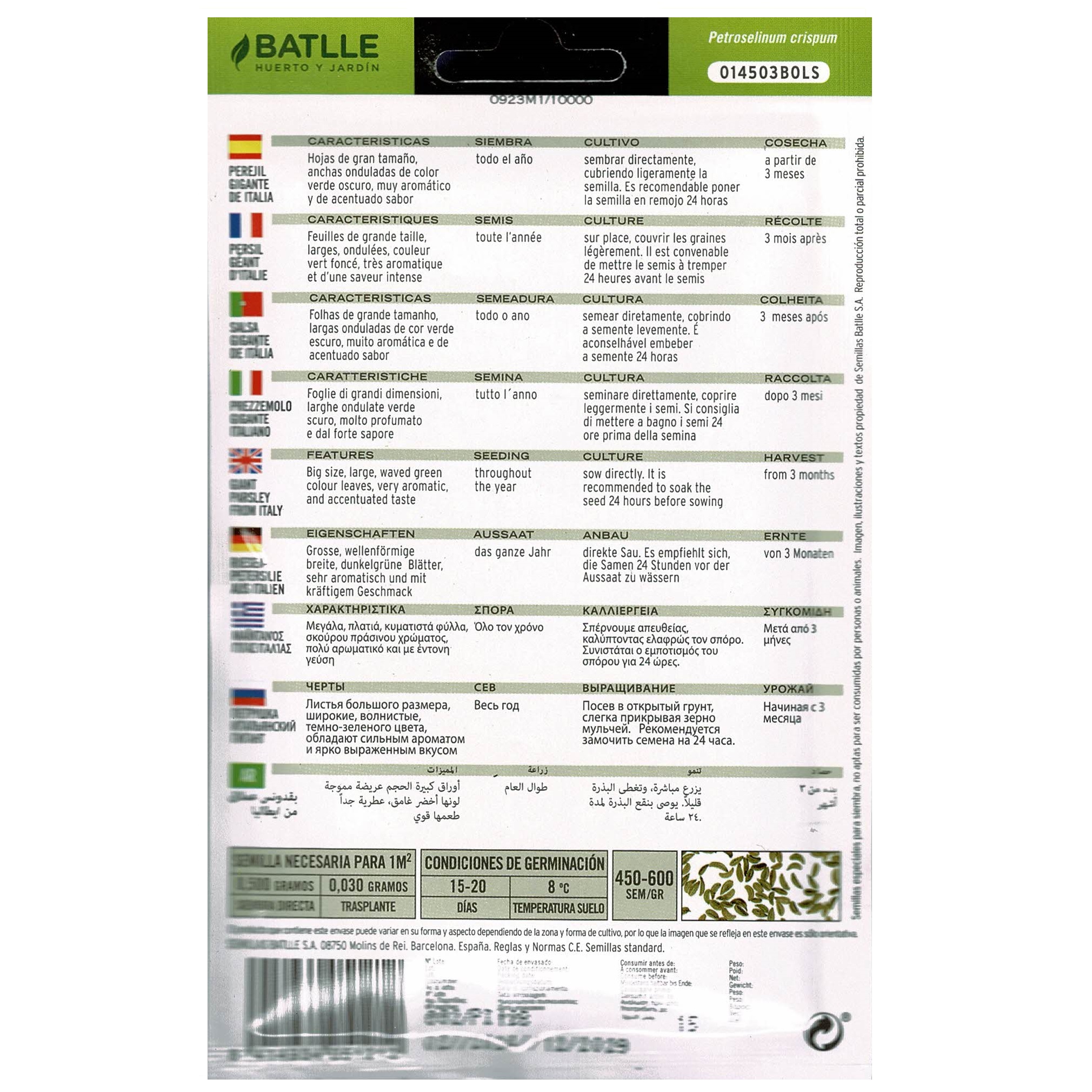 Perejil Gigante Italia sobre - Imagen 3
