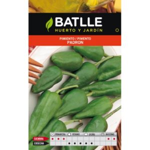 Pimiento del Padron sobre