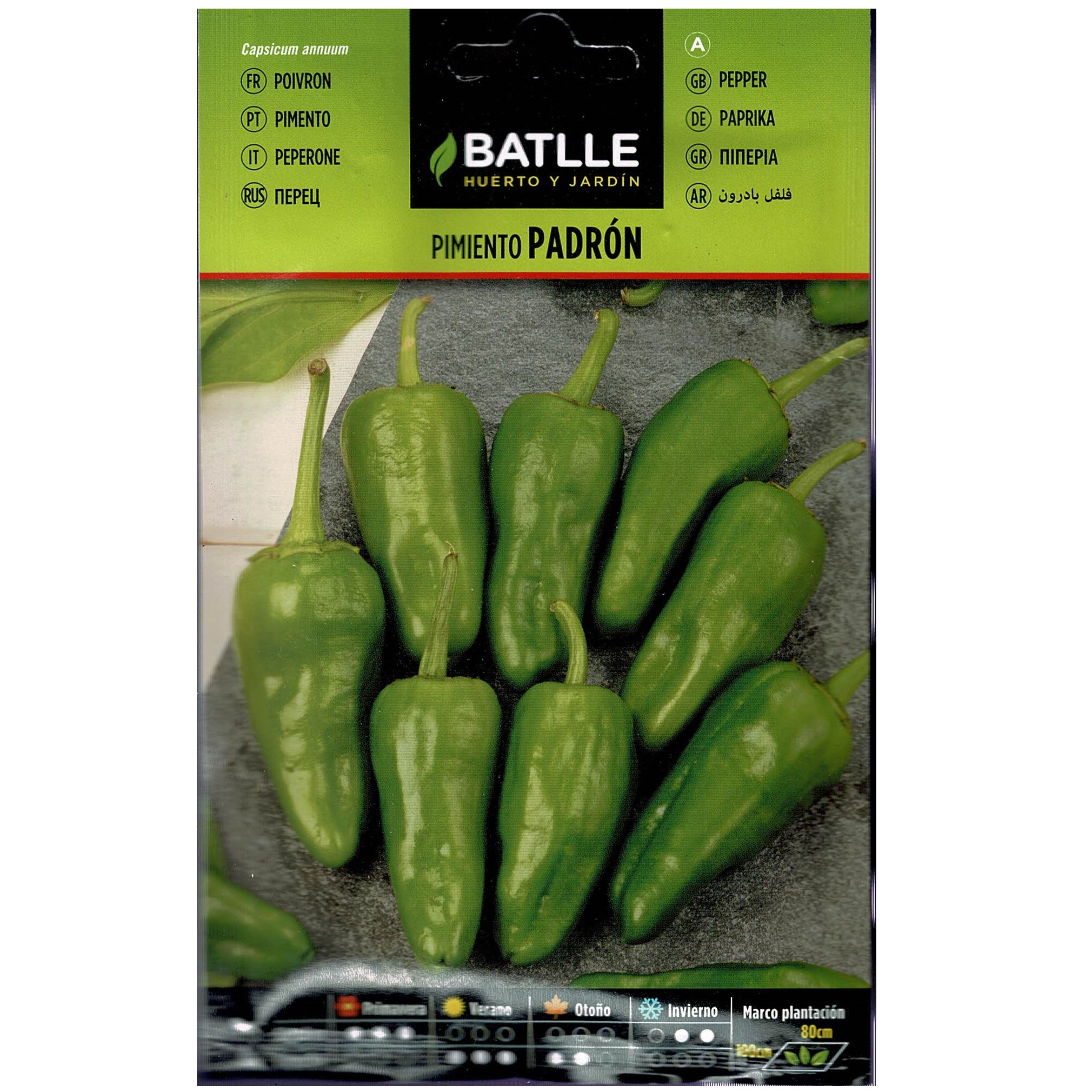 Pimiento del Padron sobre - Image 2