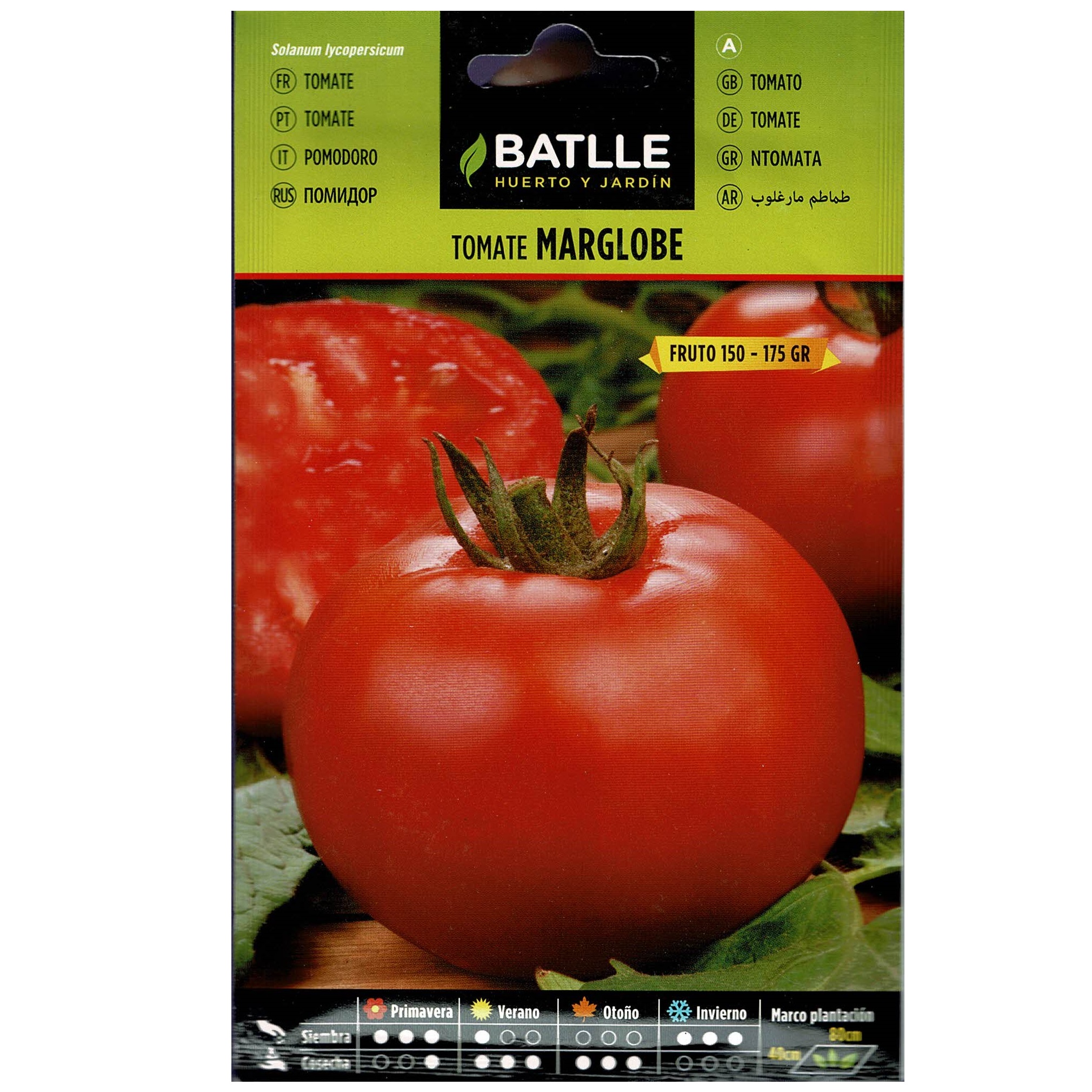 Tomate Marglobe - Imagen 2