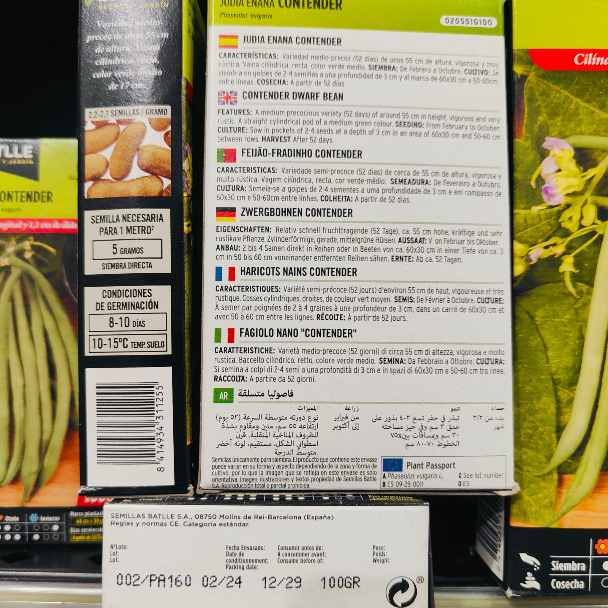 Judia Contender 100 Gr. Enana - Imagen 2