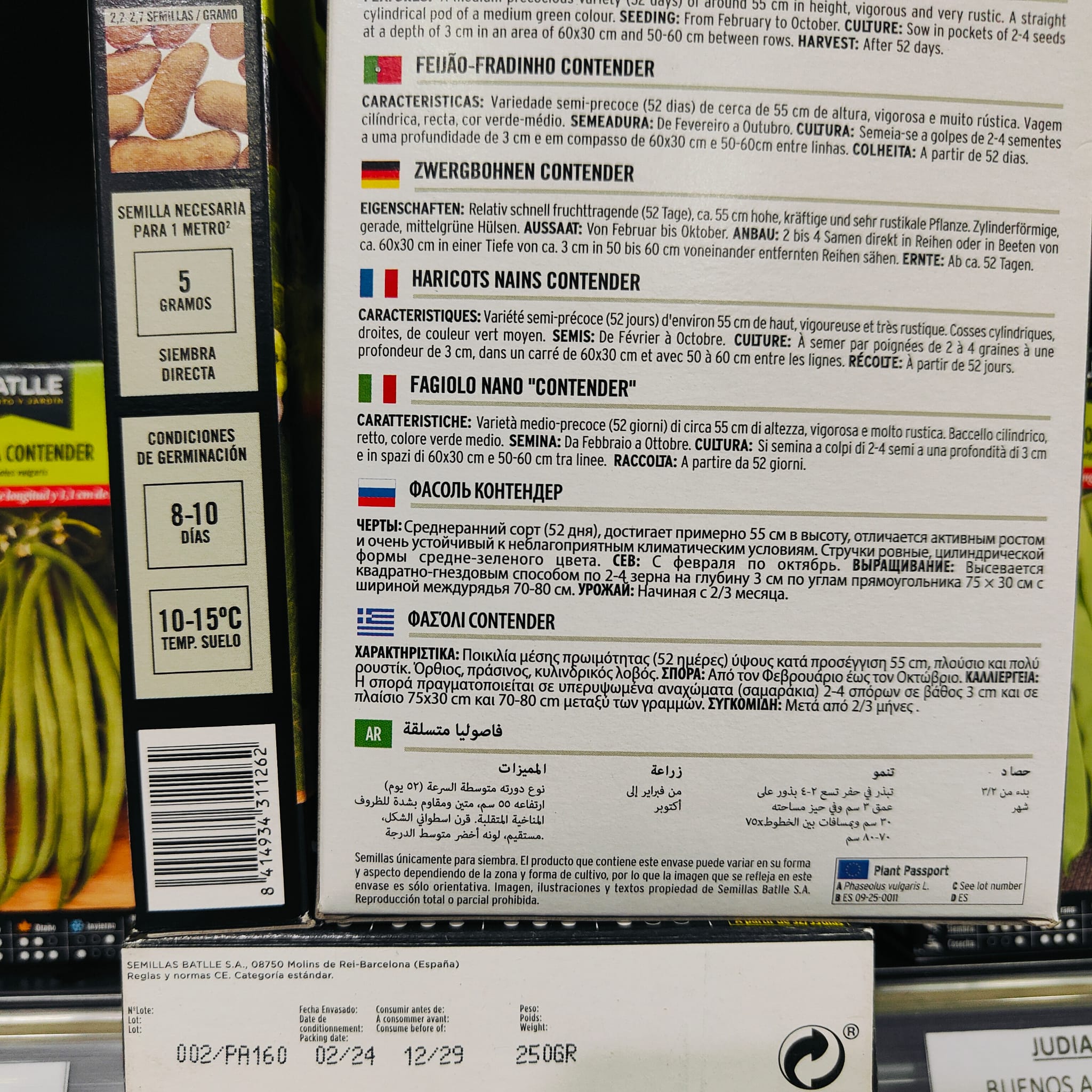 Judia Contender 250 Gr.enana - Imagen 3