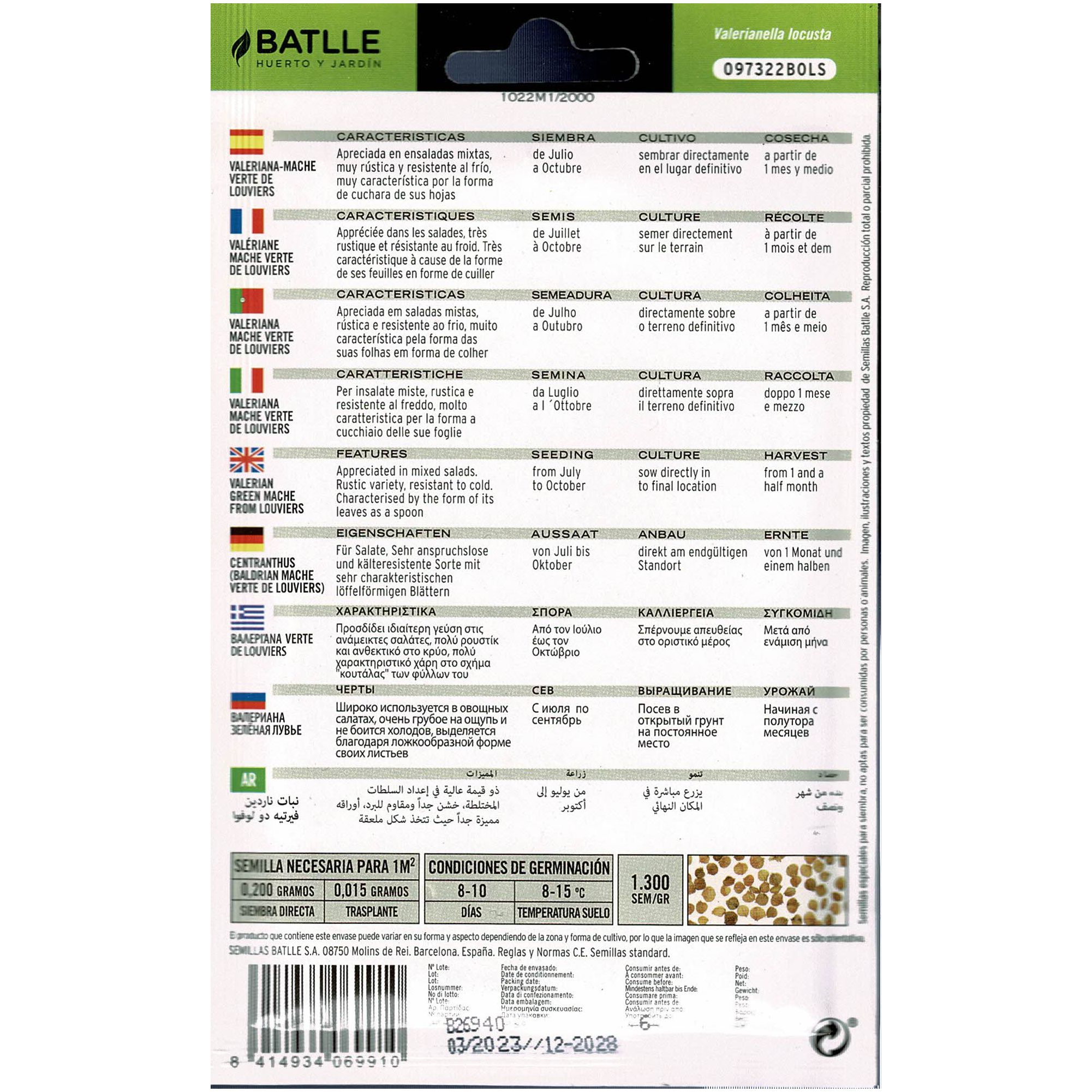 Valeriana Verte de Louviers (Canonigos) - Imagen 2