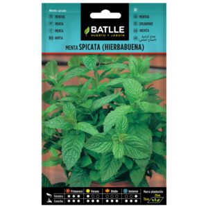 Menta Spicata (Hierbabuena) sobre