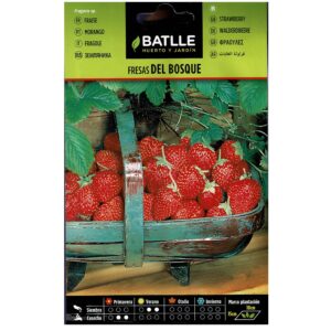 Fresas de Bosque