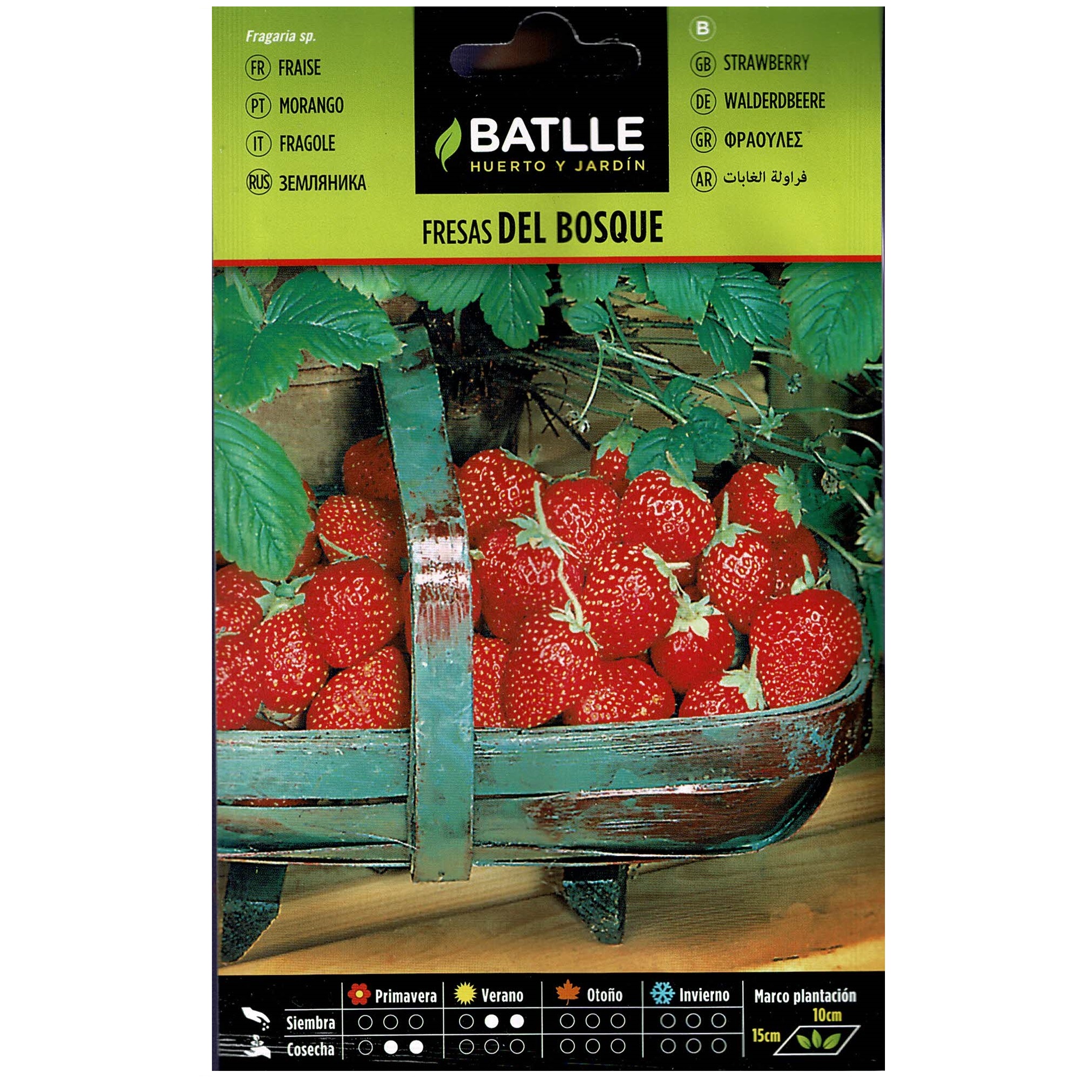 Fresas de Bosque