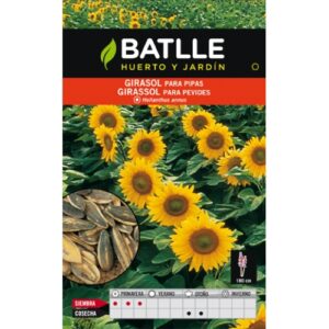 Girasol para Pipas. Batlle