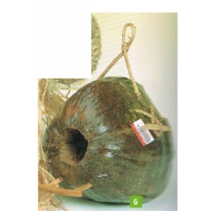 Nido Fibra de Coco Xxl
