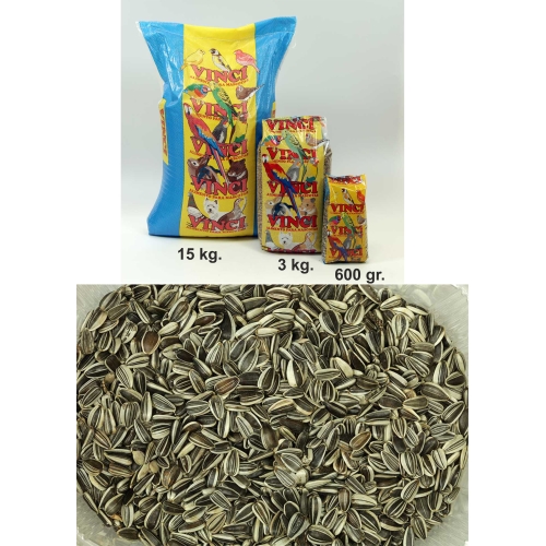 Pipas Iregui Vinci
