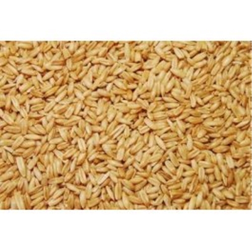 Avena Pelada Vinci