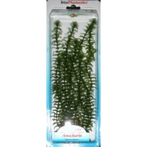 Planta Anacharis Plus,20-25 Cm.