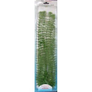 Planta Ambulia Plus (46 cm)