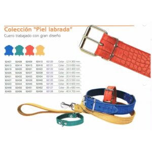 Collar Piel Labrada para Perros Medianos