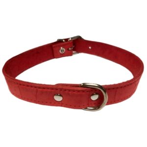 Collar Piel Labrada para Perros PequeÑos