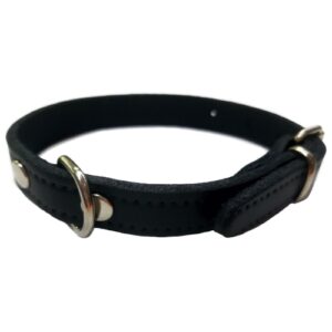 Collar Cuero Liso para Perros Vmd