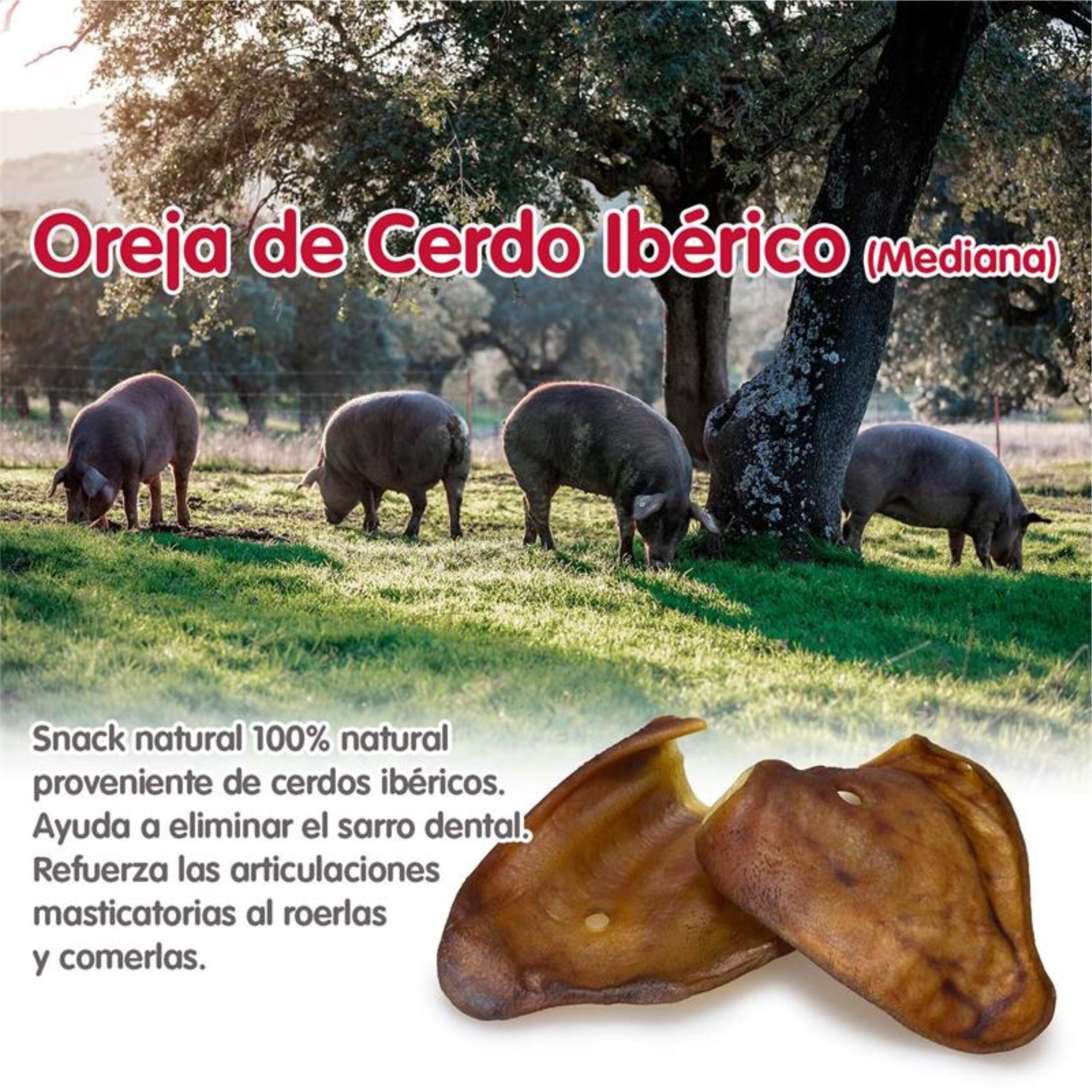 Orejas de Cerdo Iberico Mediana - 30 Uds. - Image 4