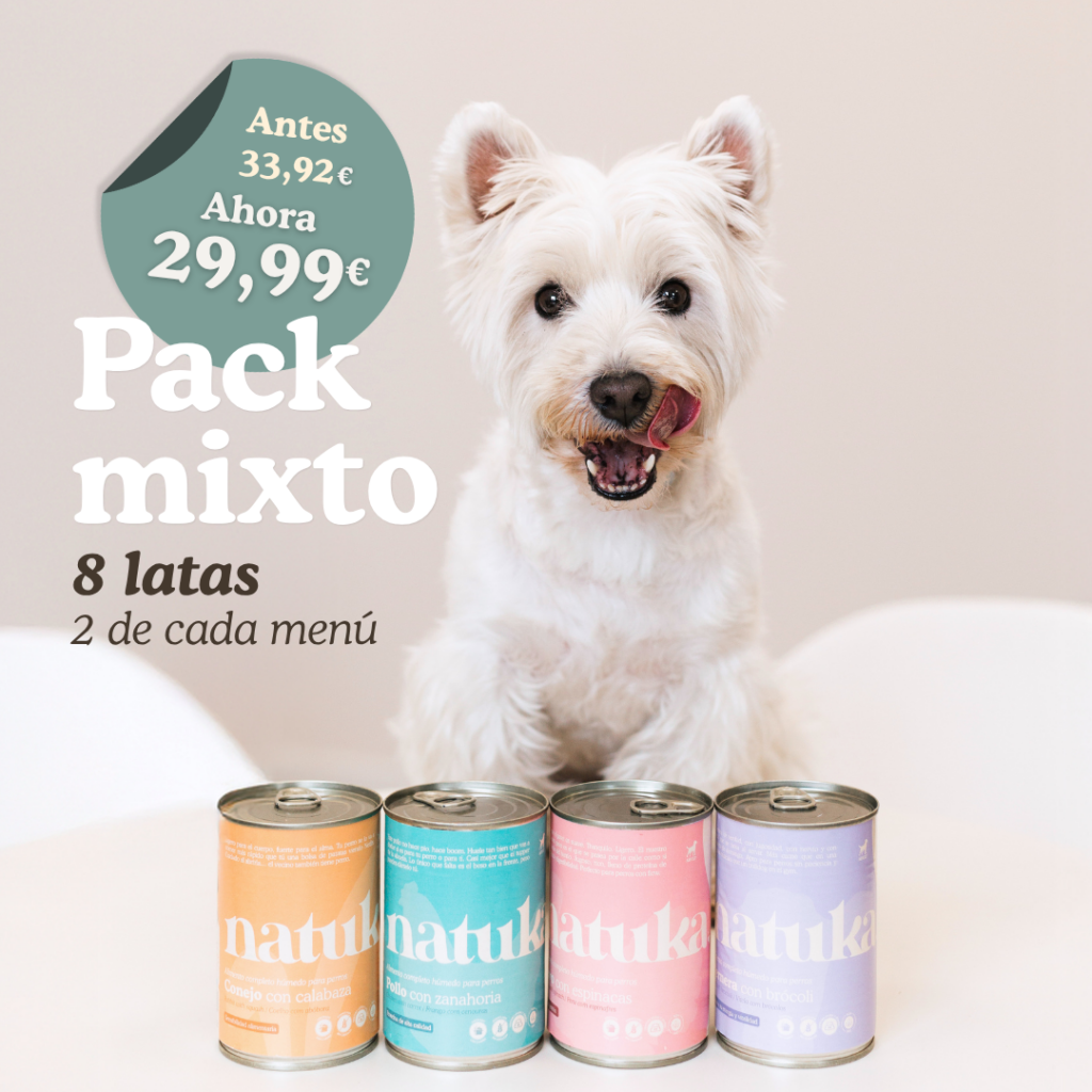 Pack mixto latas para perros