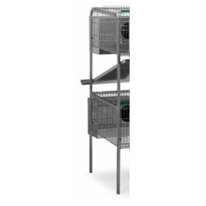 Pata Lima 2 Piso