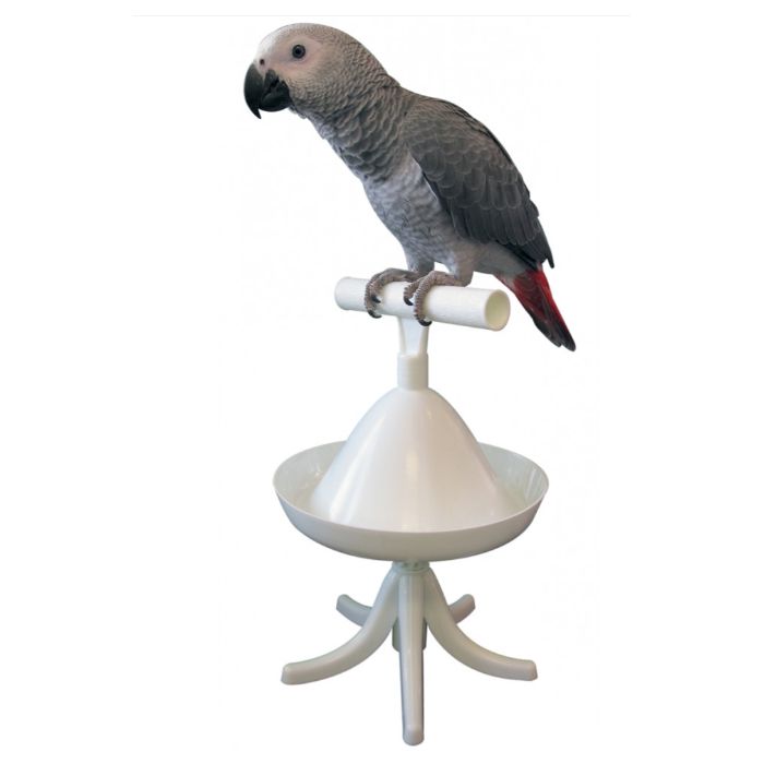 Percher Percha de Entrenamiento para Loro