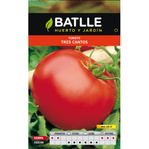 Tomate Tres Cantos sobre