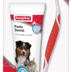 Pack Dental: Pasta Dentífrica+cepillo