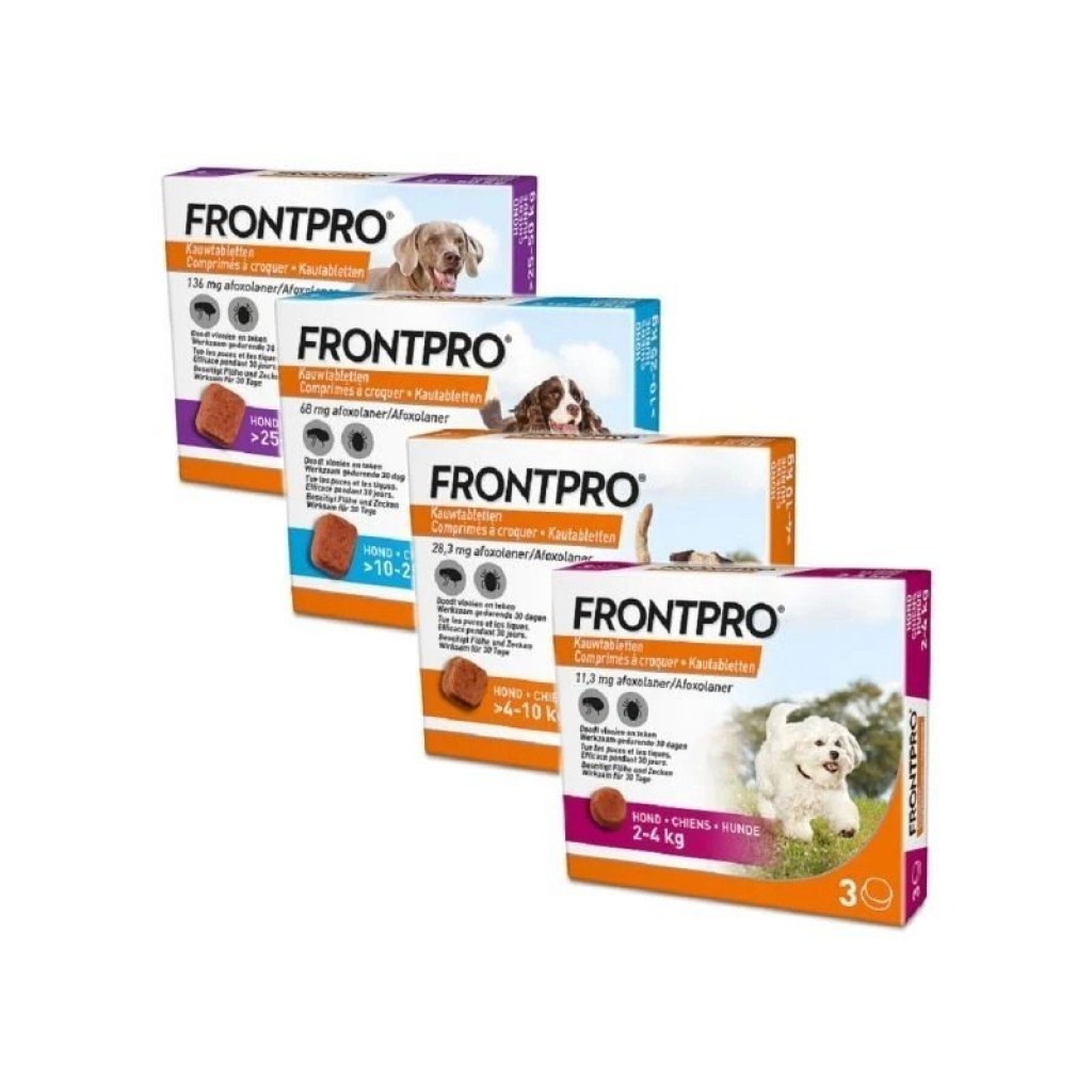 Frontpro