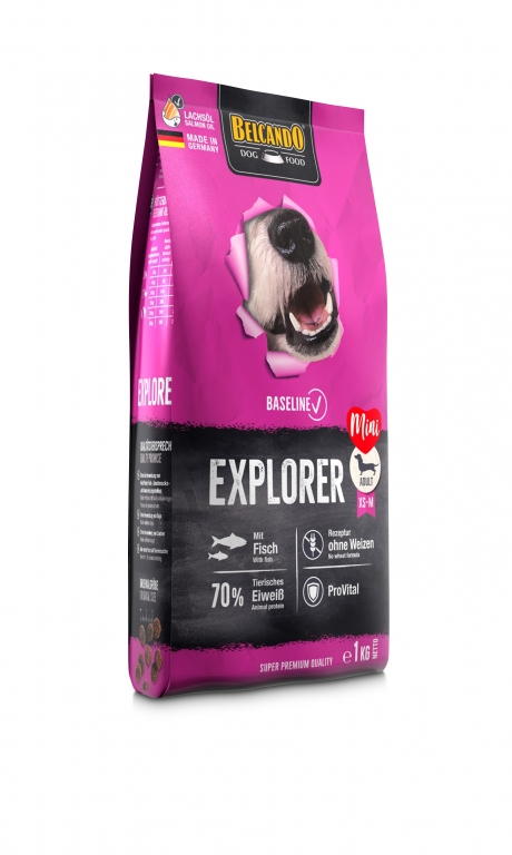 Baseline Explorer