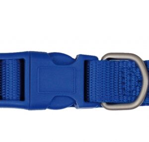 Collar Nylon Basic - Azul