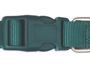 Collar Nylon Basic - Verde