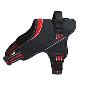 Arnes Strong - Rojo
