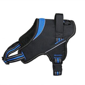 Arnes Strong - Azul