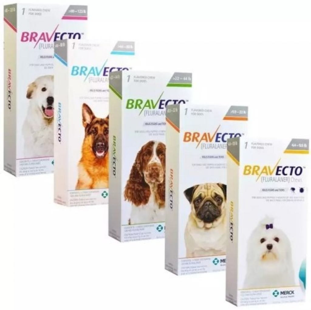 Bravecto - Antiparasitarios