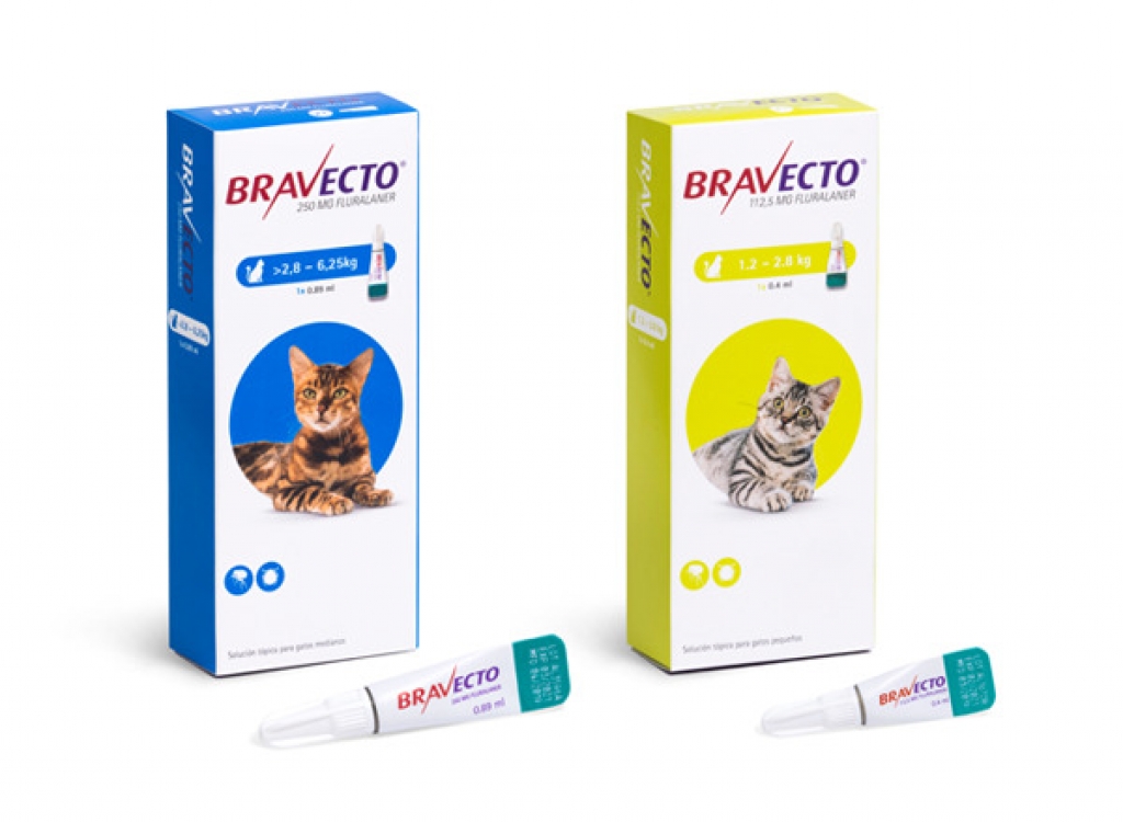 Bravecto Spot On Cat - Antiparasitarios