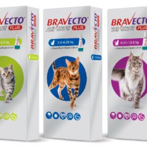 Bravecto Plus Cat - Antiparasitarios