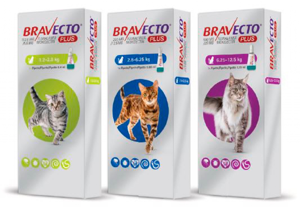 Bravecto Plus Cat - Antiparasitarios