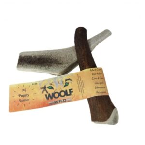 Woolf Wild Asta de Ciervo