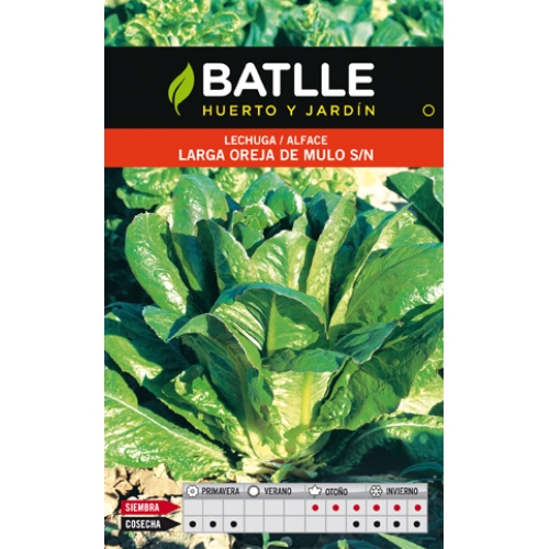 Lechuga Oreja Mulo 10 gr.