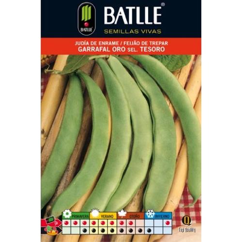 Judia Garrafal Oro 250 Gr.enrame